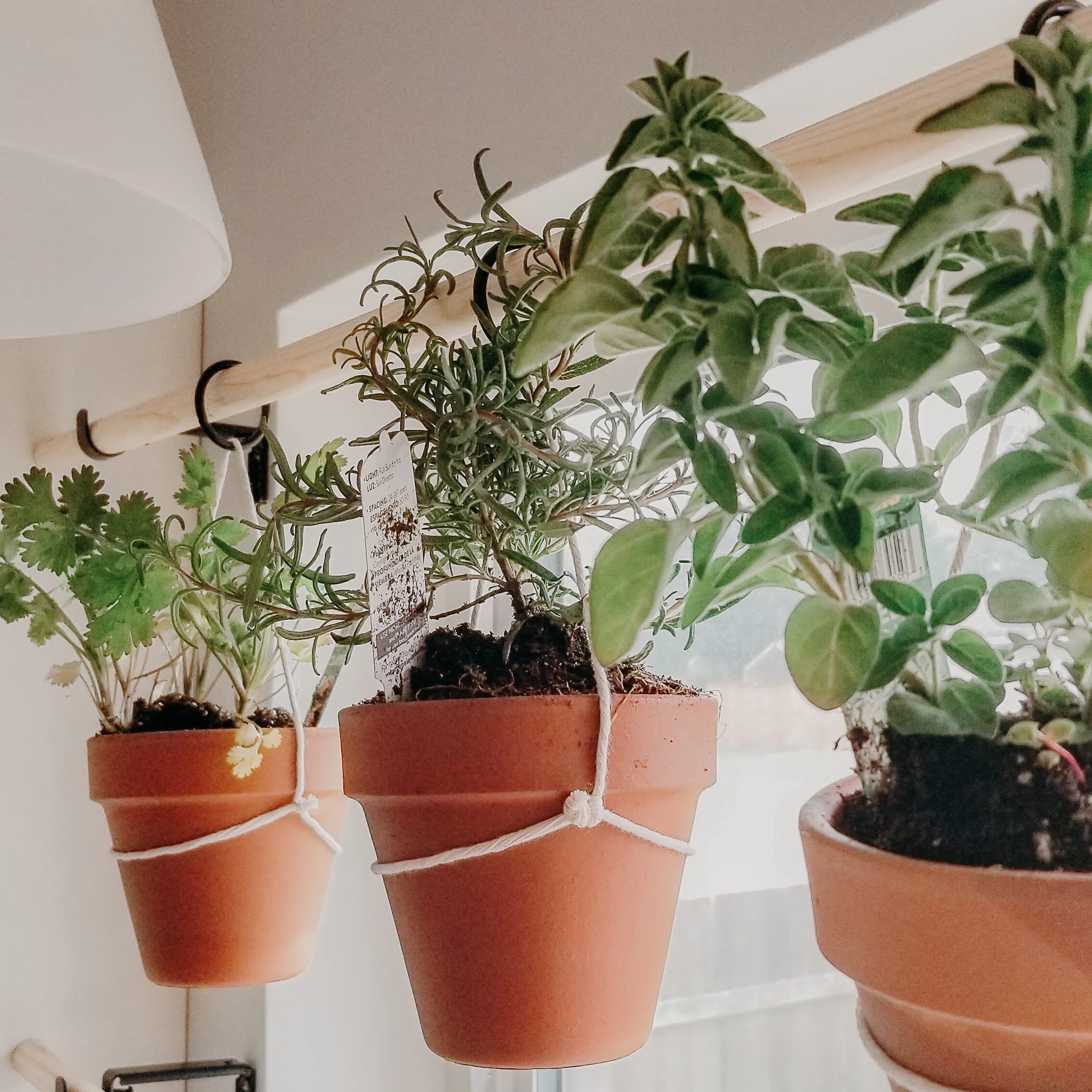 DIY Window Plant Hanger — Brooke Summers